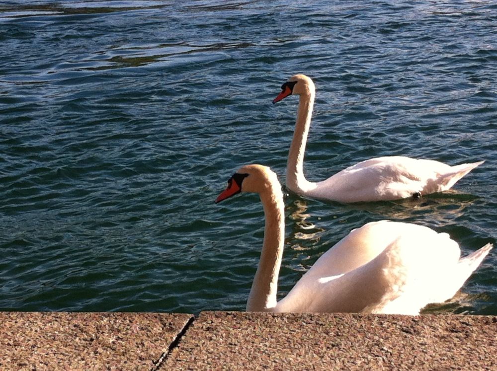 IMG_0300.JPG IMG_0300.JPG