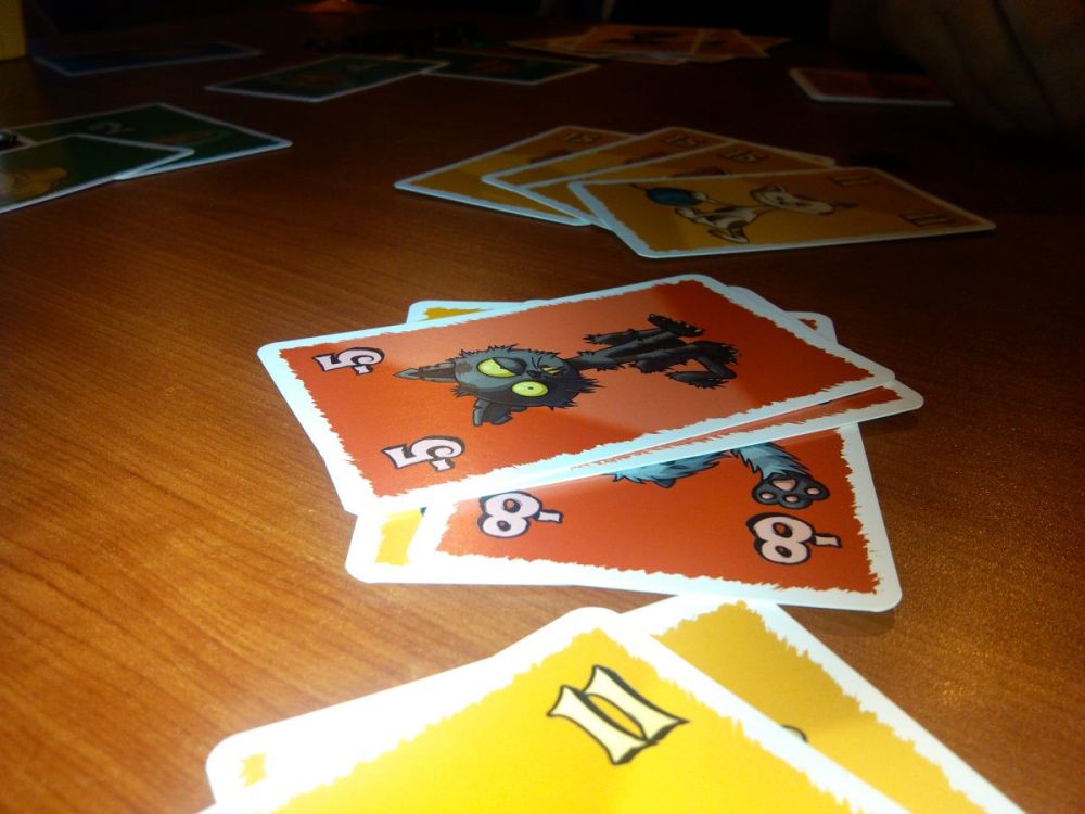 IMG_20120915_114957.jpg IMG_20120915_114957.jpg