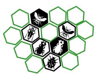 hivetheladybugmovement_02.jpg hivetheladybugmovement_02.jpg