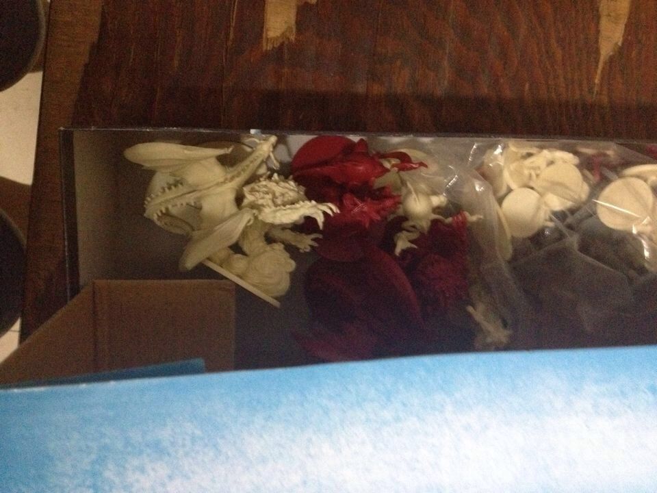 TIMG_417972978.03660.JPG TIMG_417972978.03660.JPG