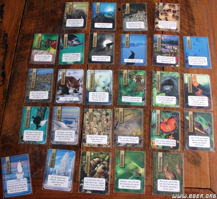20111201231332812.jpg 20111201231332812.jpg