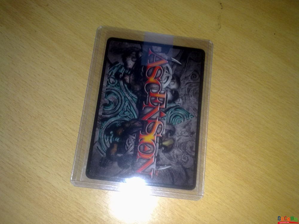 20110430443.jpg 20110430443.jpg