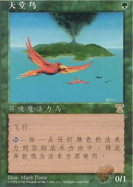 天堂鸟.jpg 天堂鸟.jpg