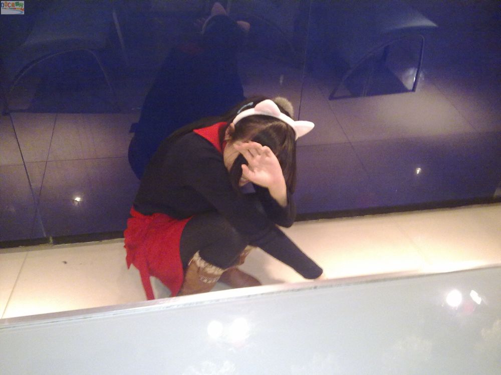 20100219147.jpg 20100219147.jpg