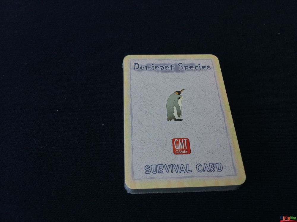 071.JPG 071.JPG